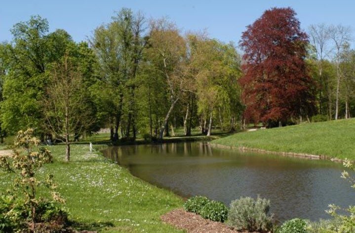 Arboretum de Segrez, Saint-Sulpice-de-Favières, France, France